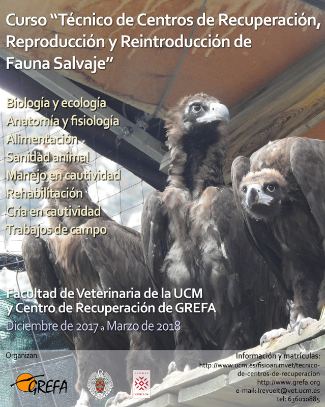 ¡Fórmate como técnico de centros de recuperación de fauna!