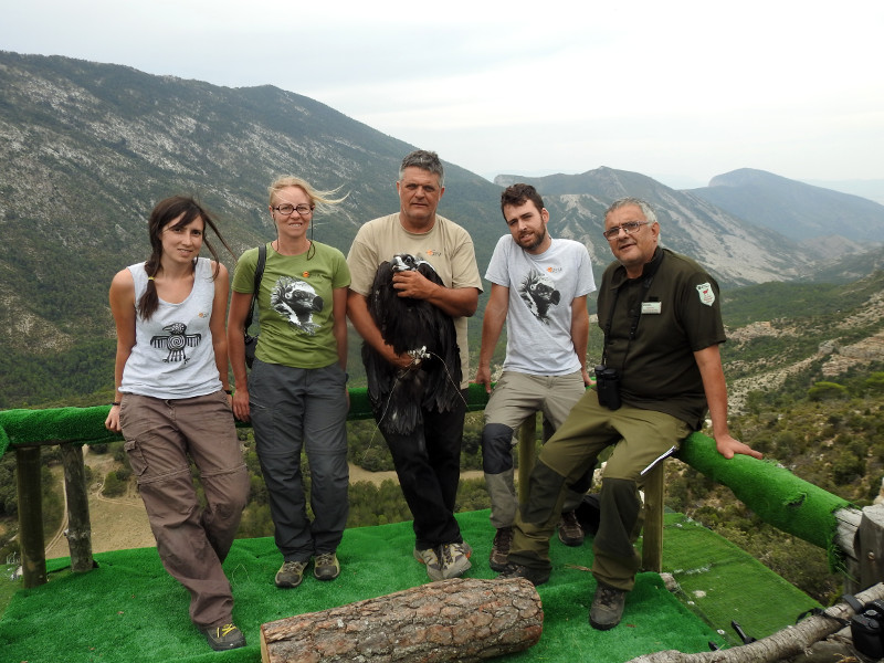 Personal de GREFA y de la Reserva de Boumort con "Orco" en la plataforma que sustenta su nido artificial de la reserva de Boumort. Foto: PRBNC.