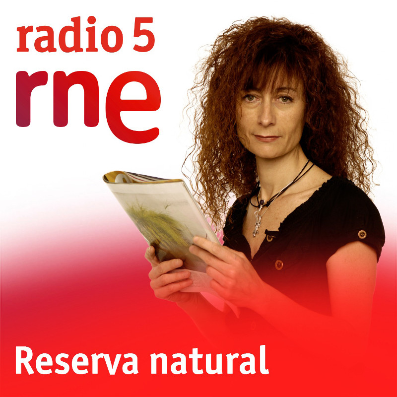 Reserva natural
