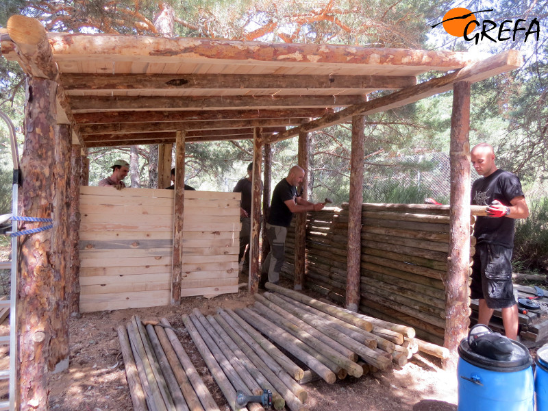 El equipo del Proyecto Monachus se afana en la construcción del 'cachimán' en la Sierra de la Demanda.