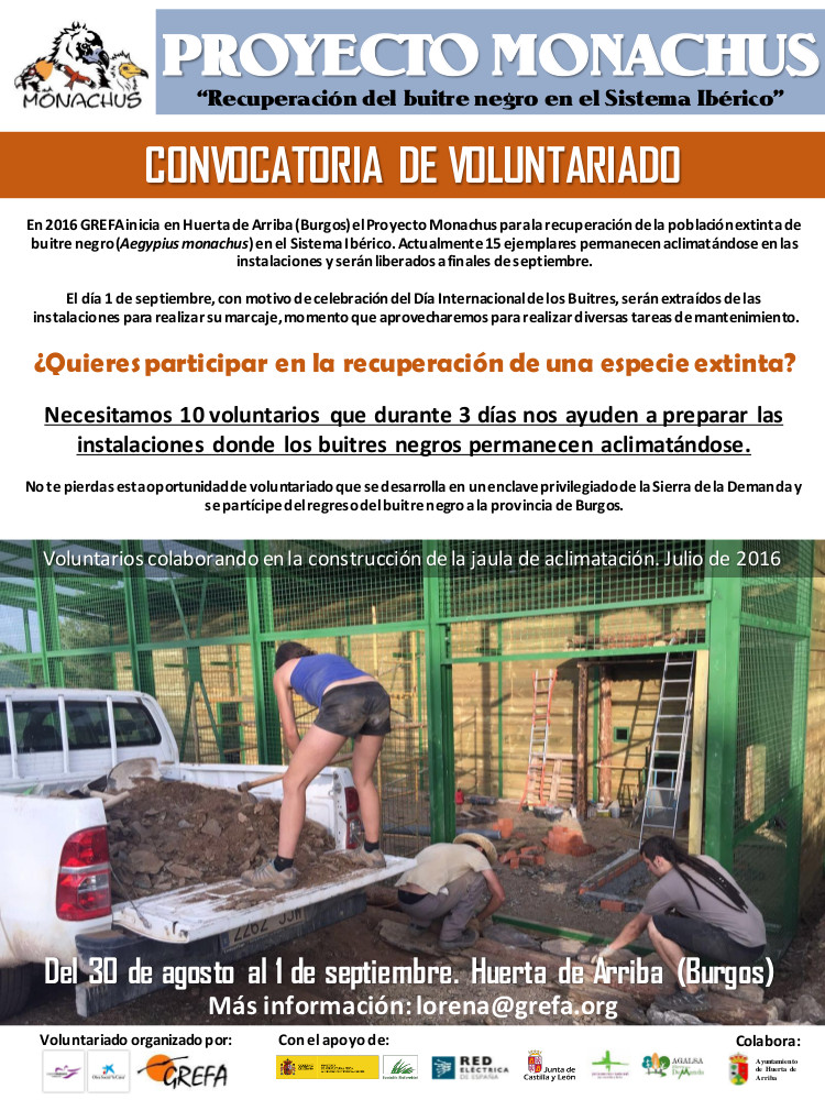 Proyecto Monachus. Convocatoria de voluntariado