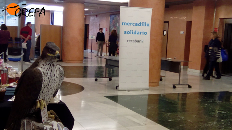 Acceso al mercadillo solidario de Cecabank.