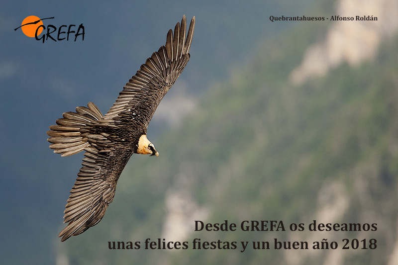 GREFA GREFA os desea un próspero 2018... ¡Con sorpresa incluida!