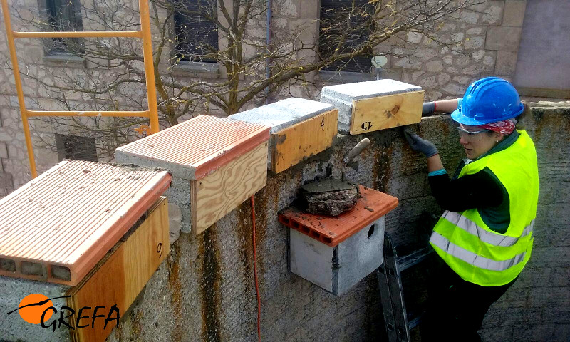 Una voluntaria coloca una caja nido en un depósito de agua abandonado de Villafruela (Burgos).