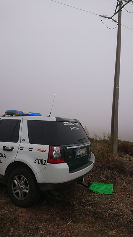 Apoyo que causó la electrocución del águila real en Valdepiélagos. Foto: Pedro Luis Sánchez.