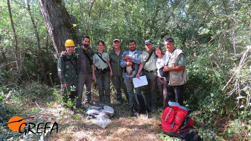 El equipo que se encargó de marcar con GPS a "Aulencia" posa con este animal.