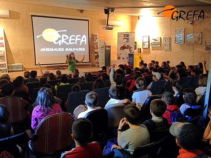 Niños de un colegio en un taller educativo de GREFA. Foto: GREFA.