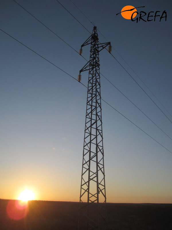 Tendido eléctrico de Frechilla (Palencia) donde murieron la avutarda y la corneja.