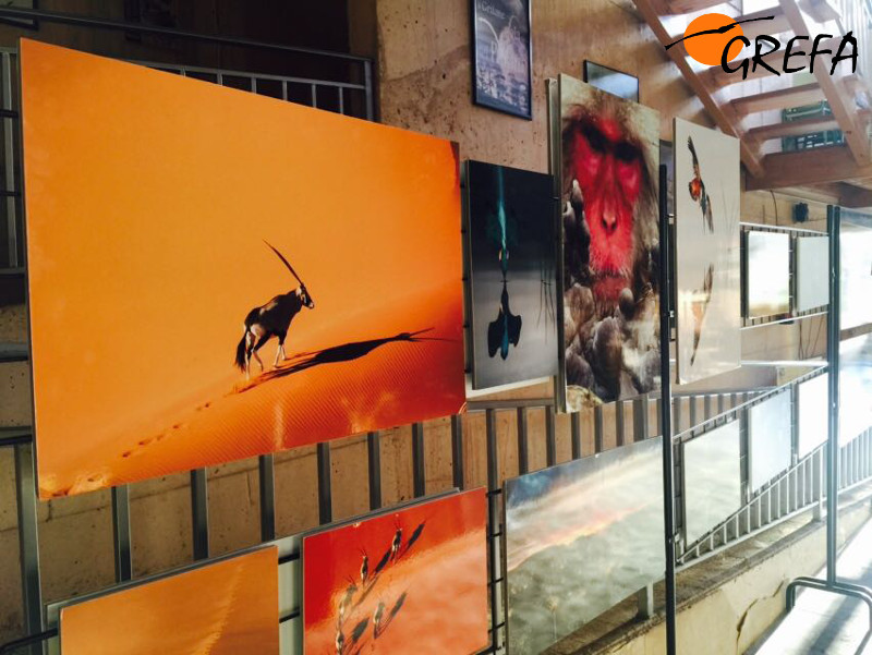 Aspecto de la exposición de fotos del premio "Memorial Félix Rodríguez de la Fuente" en el centro de GREFA.