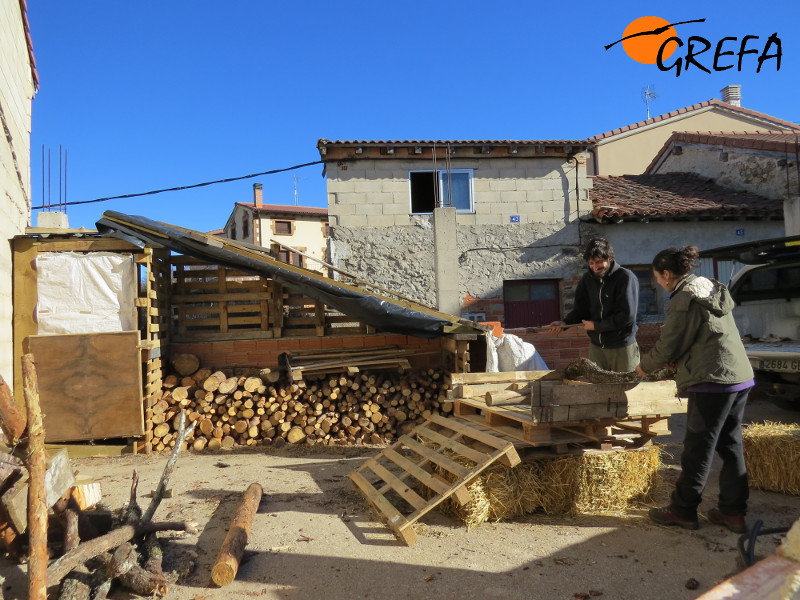 Los primeros pasos para la construcción del nido para "Rogelio" y "Mochuela".