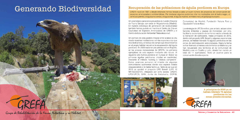Capítulo dedicado a GREFA y a su trabajo con el águila de Bonelli en el "Manual de buenas prácticas en conservación de la naturaleza".