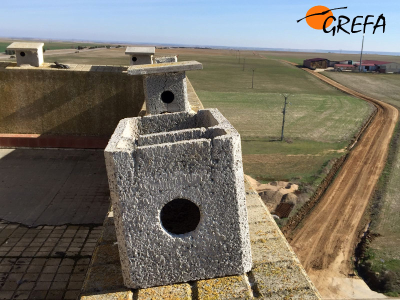 Nidales para cernícalo primilla en el silo de San Esteban del Molar.