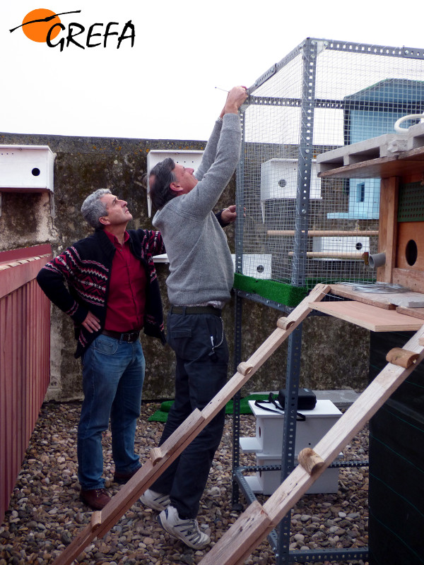 Rematando la faena en la instalación del hacking del campus de Rabanales.