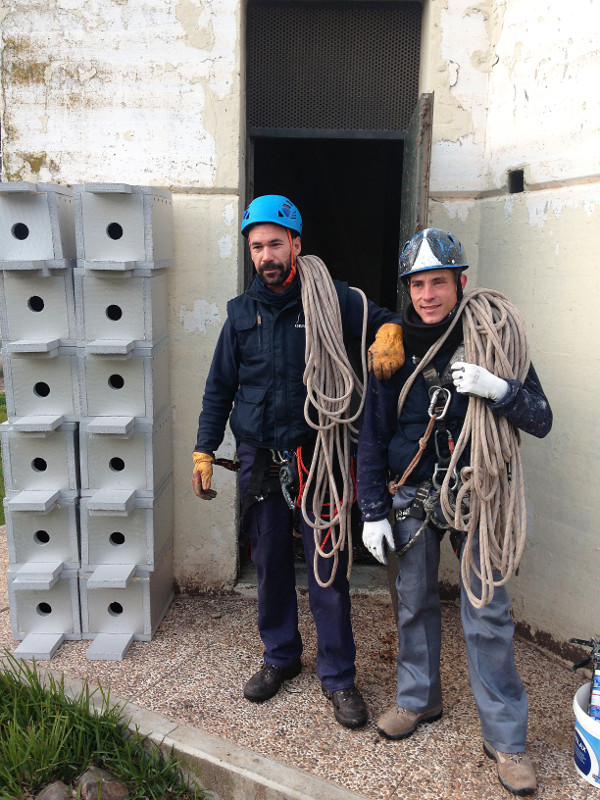 El equipo de Ornisur dispuesto a instalar 26 nidales en la torre del campus de Rabanales. Foto: Rafael Valero.