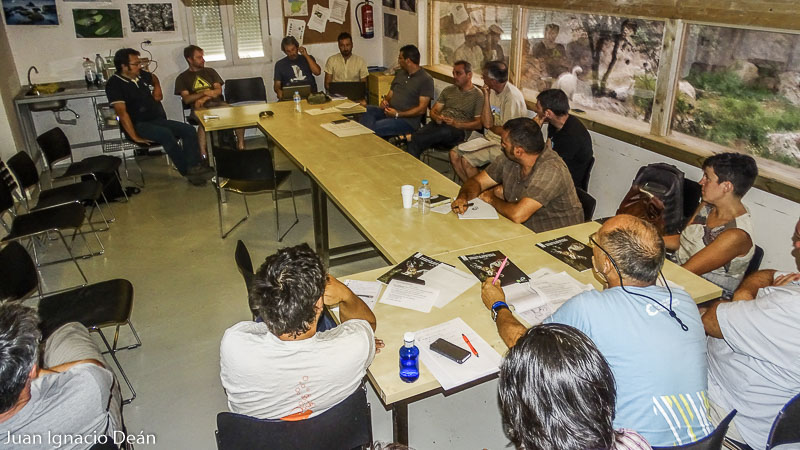 Revisores asistentes al encuentro de eBird España, en pleno debate. Foto: Juan Ignacio Deán.