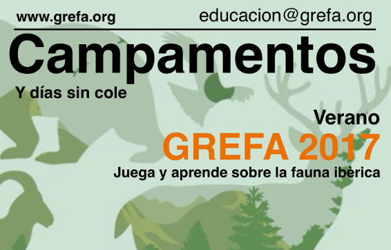 Campamentos GREFA 2017