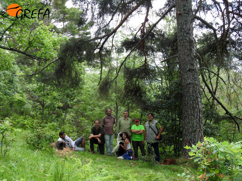 El equipo de GREFA encargado de colocar las plataformas de nidificación. ¡Buen trabajo!