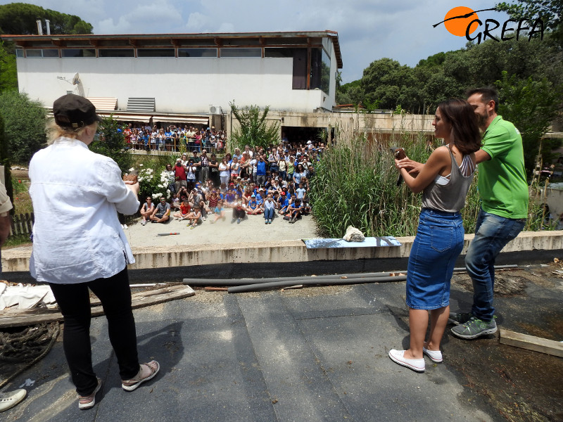 Teresa Vicetto, editora de El Cárabo, y Virginia Moreno, de Ecoembes, a punto de liberar dos cernícalos vulgares durante la Jornada de Puertas Abiertas de GREFA y el Día del Águila de LIFE Bonelli.