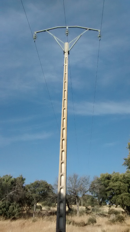 Tendido eléctrico de diseño peligroso para las aves, en la Comunidad de Madrid. Foto: GREFA