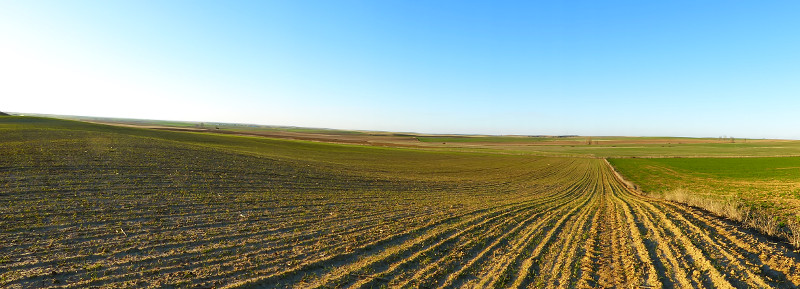 Paisaje agrícola de la comarca de Tierra de Campos, en Castilla y León.