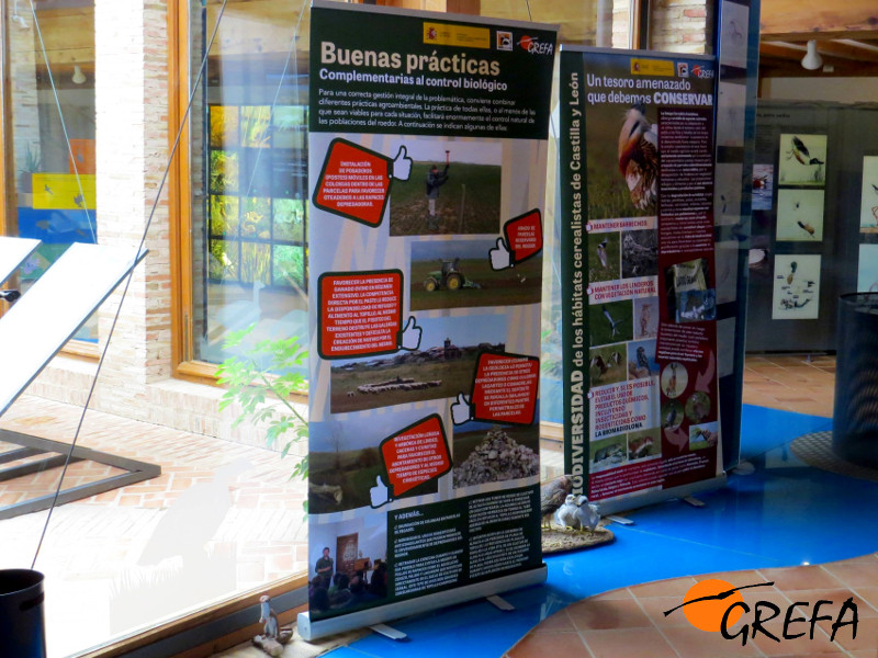 Paneles de nuestra exposición sobre el topillo en la Casa del Parque de las lagunas de Villafáfila.