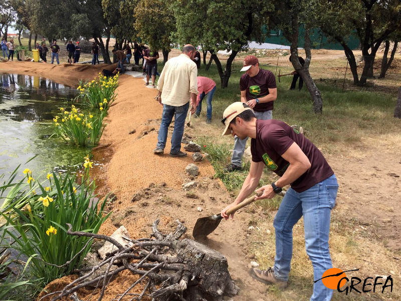 Trabajadores de John Deere ayudan a acondicionar una charca para el galápago europeo en la finca madrileña Suerte Ampanera.