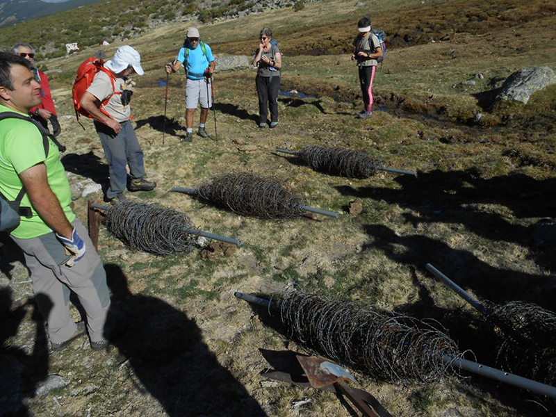 Algunos participantes en la jornada de limpieza posan con las alambradas de espino recogidas en la sierra de Guadarrama.