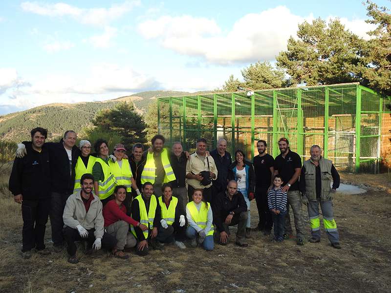 Voluntarios y trabajadores de GREFA delante del jaulón de aclimatación de buitres negros en Huerta de Arriba (Burgos).