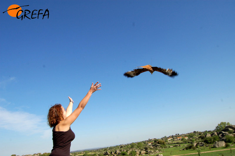 Momento de la liberación de "Sucesso" por su madrina Liliana en la primavera de 2011.