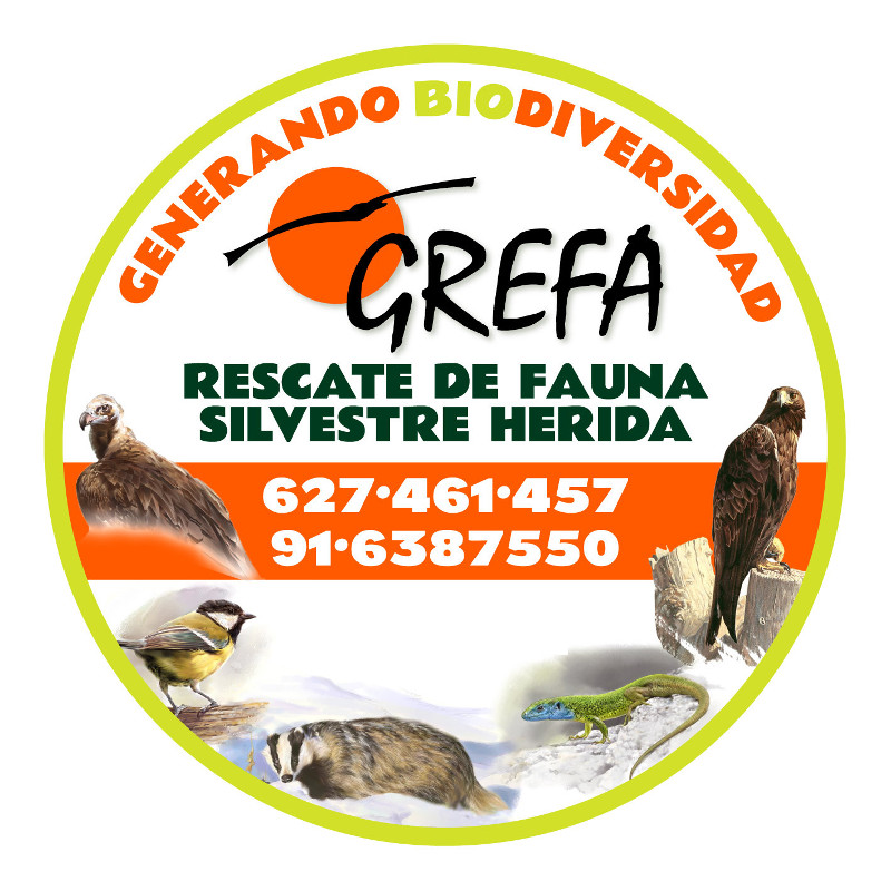 Equipo de recate de GREFA