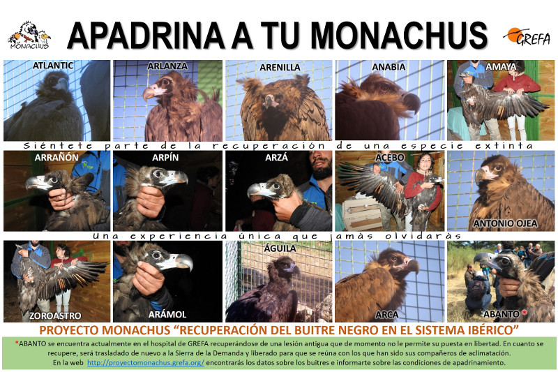 Panel con la foto y el nombre de los quince buitres negros de la Sierra de la Demanda susceptibles de ser apadrinados.