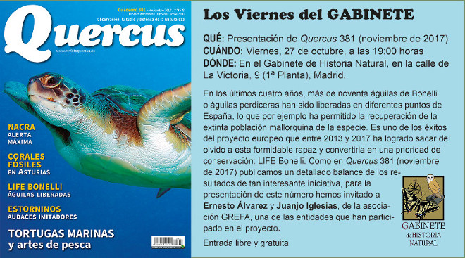 Life Bonelli en el gabinete de historia natural