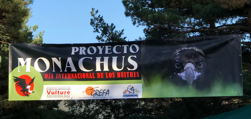 Cartel del Proyecto Monachus exhibido el pasado 1 de septiembre en Huerta de Arriba (Burgos) con motivo del Día Internacional de los Buitres.