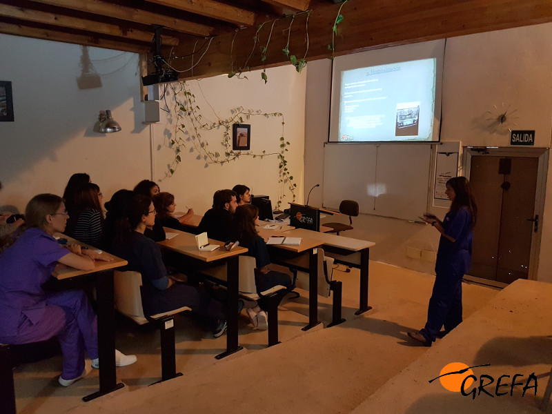 Una veterinaria del hospital de fauna de GREFA se dirige a los voluntarios responsables de enfermería durante un seminario de formación.