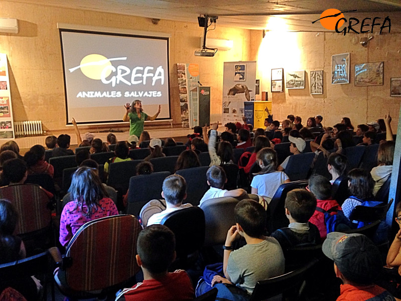 Charla de bienvenida en el salón de actos de GREFA a un colegio que visita nuestras instalaciones.