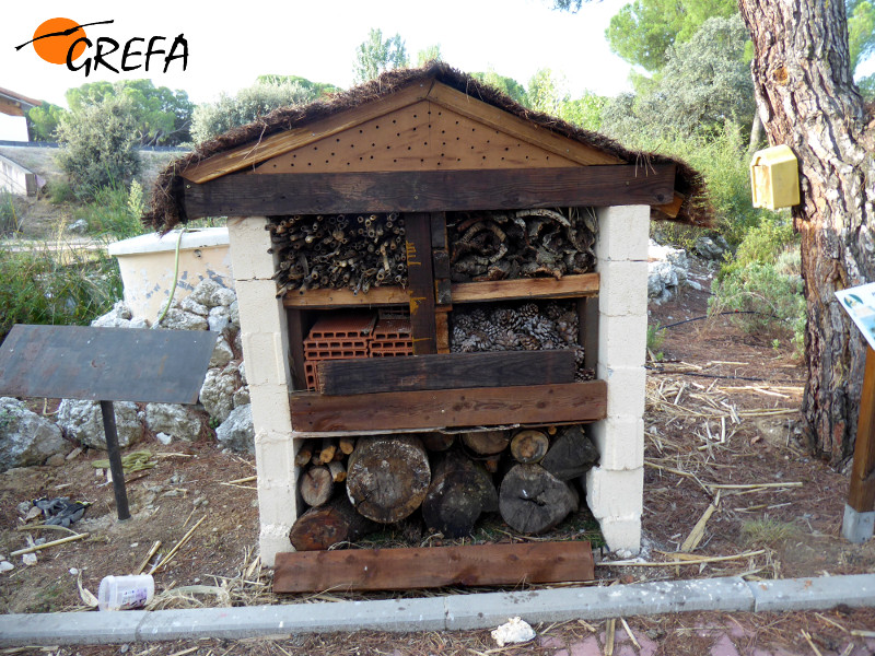 Flamante aspecto del insectario u "hotel" para insectos que hemos estrenado en GREFA.