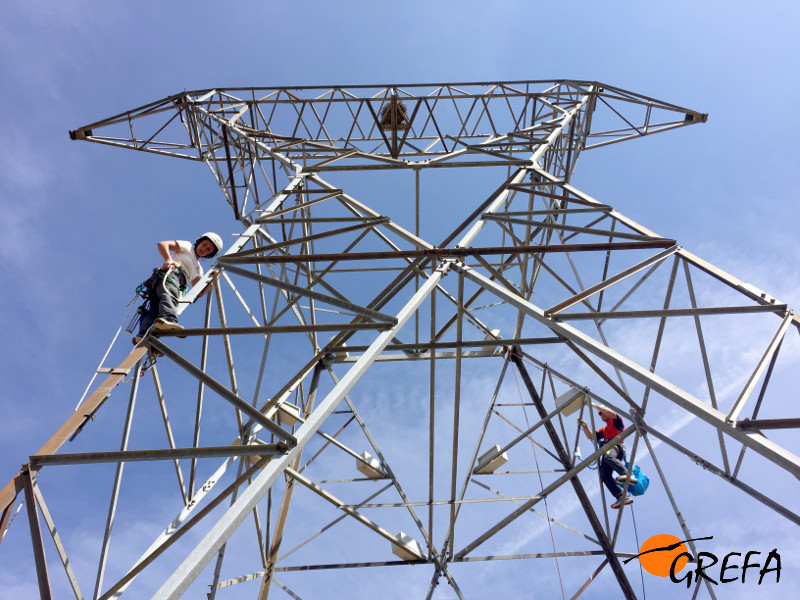 Miembros del equipo de GREFA en la torre de alta tensión de Casasola de Arión (Valladolid) donde hemos colocado los nidales para cernícalo primilla.