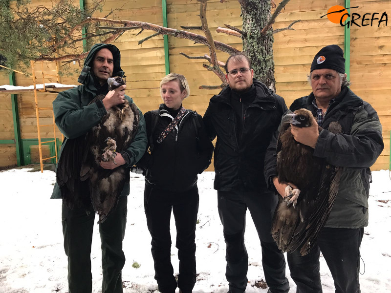 Padrinos y miembros y colaboradores de GREFA con los buitres apadrinados.