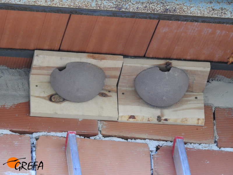 Nidos artificiales para avión común instalados en un alero de una casa de Huerta de Arriba, tras el taller con niños. 