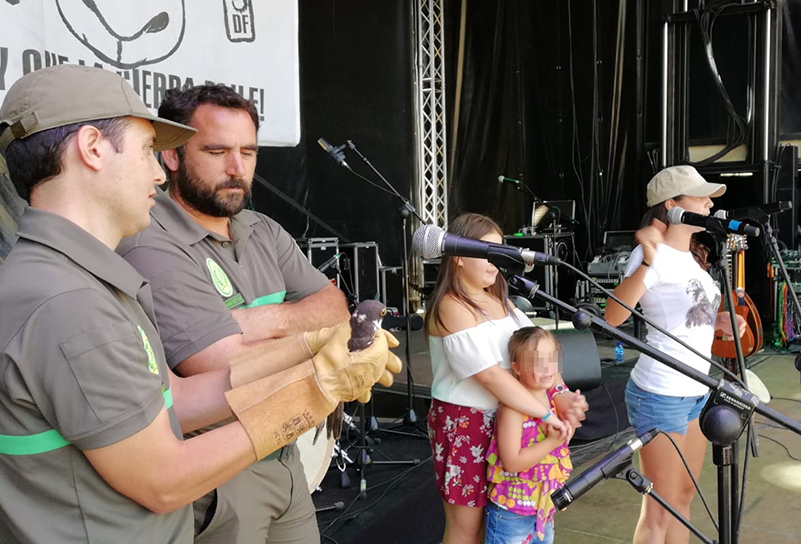 Lorena Juste, bióloga de GREFA, se dirige a los asistentes al DemandaFolk'18 instantes antes de la liberación del alcotán.