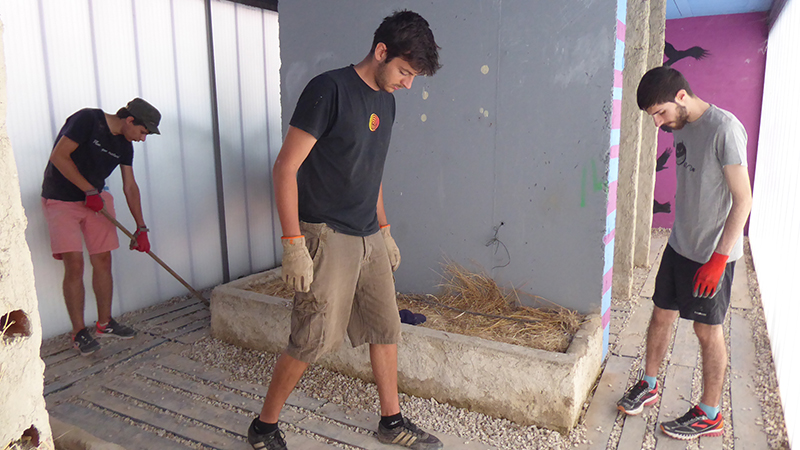 Tres voluntarios internacionales trabajan en uno de los módulos que conforman el nuevo centro de interpretación de la naturaleza de Villalar.