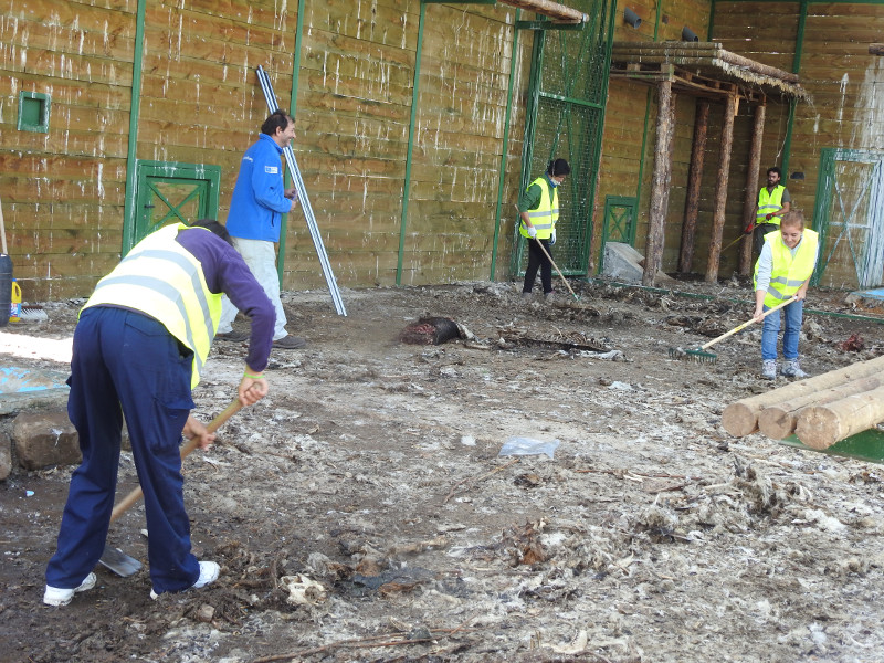 Varios voluntarios limpian el jaulón de aclimatación de buitres negros en Huerta de Arriba (Burgos) durante la convocatoria de 2017.