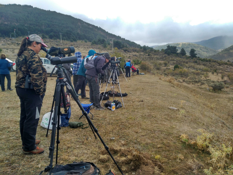 Punto de observación a larga distancia de los buitres negros liberados en la Sierra de la Demanda.