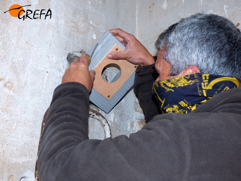 Adecuación de un mechinal en una ermita de Pedro Abad (Córdoba), con el fin de que nidifique el cernícalo primilla.