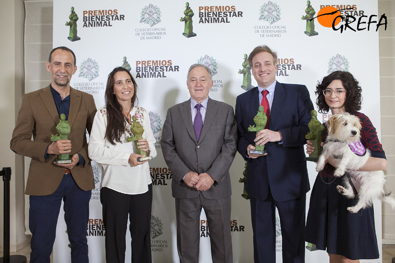 Foto de los galardonados con los Premios "Bienestar Animal". El primero por la izquierda es Fernando González, director veterinario de GREFA.