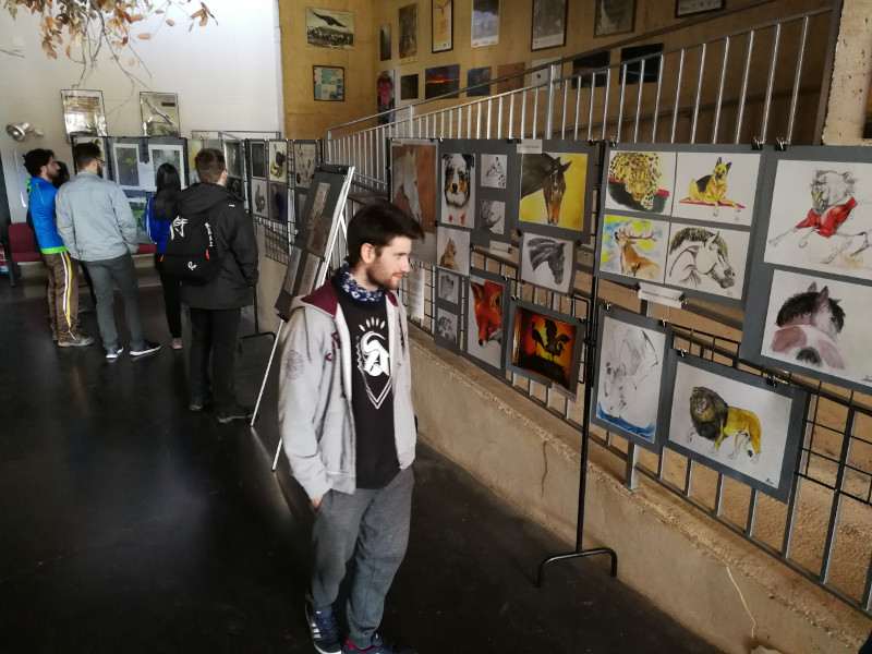 Varias personas contemplan la exposición "Arte y naturaleza" en el centro de GREFA.