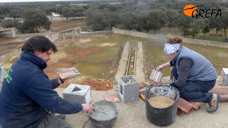 Momento de la colocación de nidales para el cernícalo primilla en la granja escuela "Las Cortas de Blas".