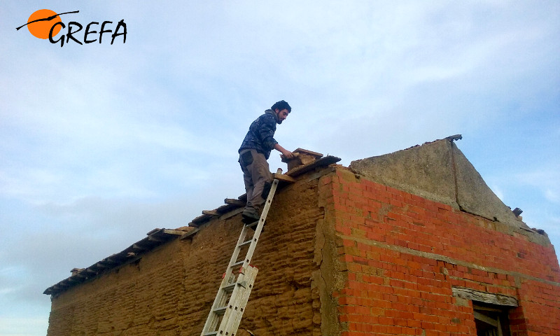 Un trabajador de GREFA coloca una caja nido para pequeñas rapaces en una vieja casa de labor de Cuenca de Campos (Valladolid).