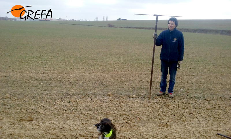 Jesús Ruiz, agricultor de Cuenca de Campos, con uno de los posaderos para pequeñas rapaces que instalamos en varias parcelas agrícolas.