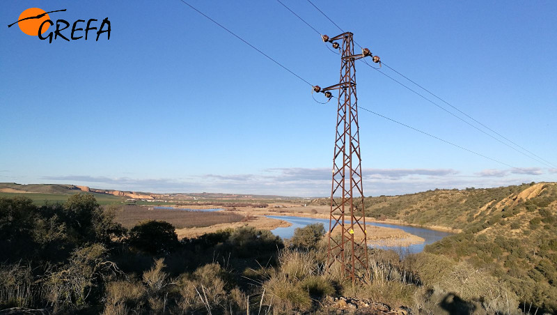 Apoyo en la provincia de Toledo en el que se electrocutó "Padmé".